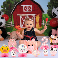 CY2SIDE 12PCS Floral Farm Animals 2nd Birthday Party Honeycomb Centerpieces, Cute Pink Flowers Barnyard 2 Years Old birthday Party Table Decoration, Second Birthday Party Supplies for Baby Girls