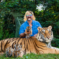 CY2SIDE 12PCS Tiger King Cosplay Pack for Men, Wig and Mustache for Men, Tiger King Party Supplies, Tiger King Costume Set, with a Blond Wig, Ear Clips, Sunglasses, Brown Fake Mustache, Cross Necklace